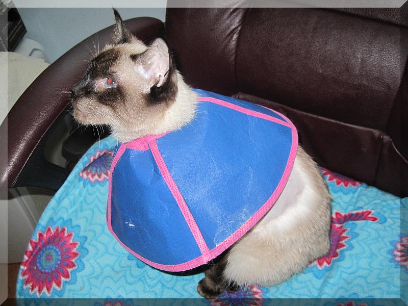 BabyBlueDress2.jpg